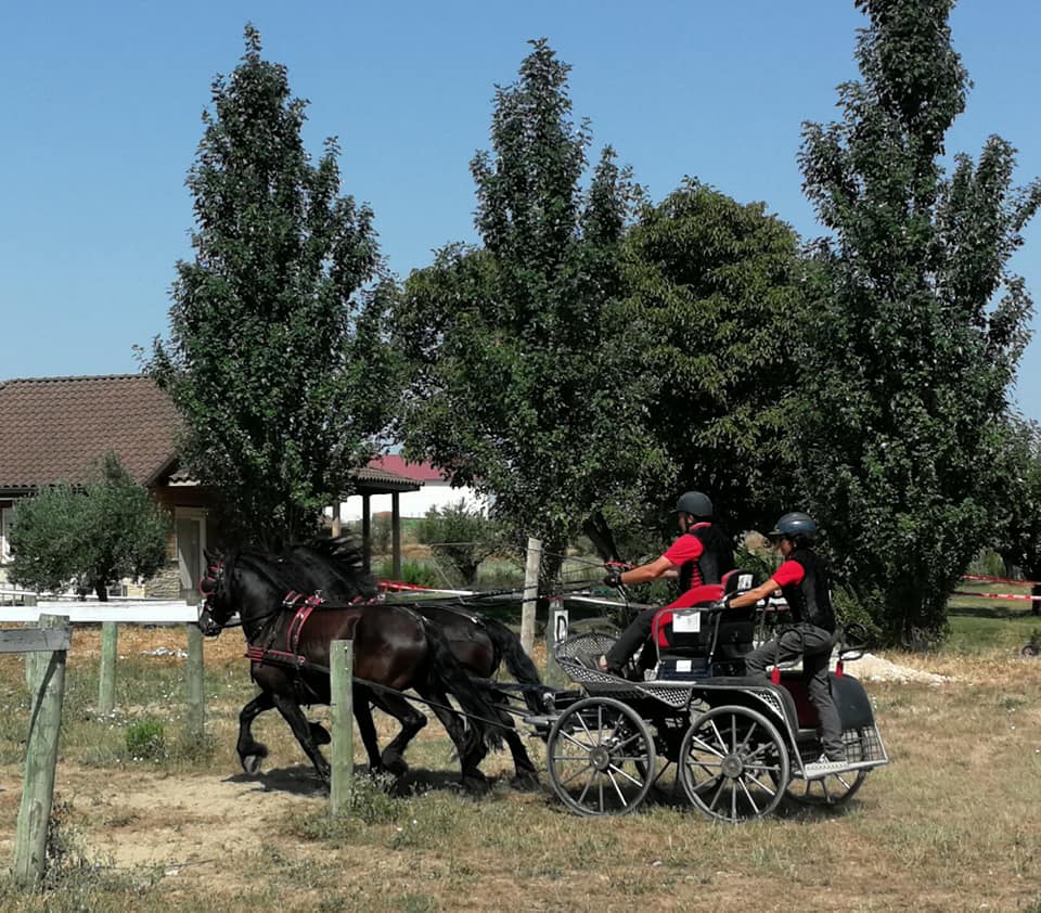 3ª Fase y Final del Campeonato Navarra de Enganches Indoor en La Pinturita de Olite